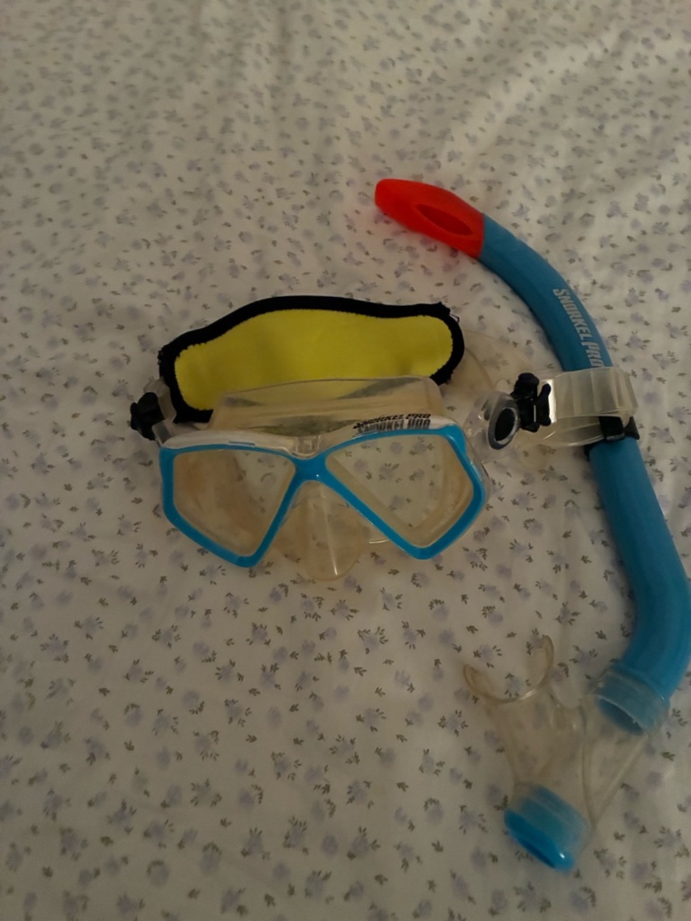 Blue Snorkel Mask and Snorkel Set